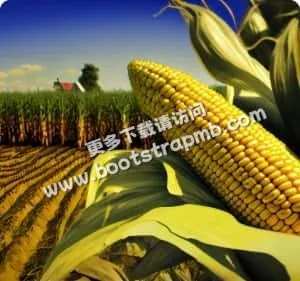 全年无休，24小时在线 - K1体育官网
