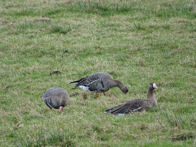 重点培养对 重点培养对
