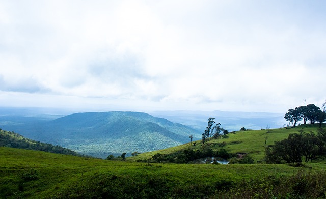 我们期待更 我们期待更