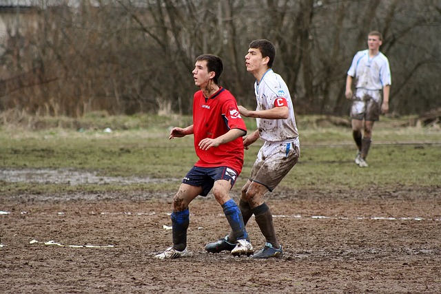 一支来自罗 一支来自罗