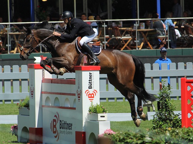 极限运动炫冰城丨“冰雪+体育”点“燃”冬季旅游.