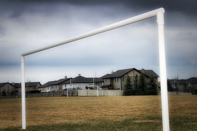 纽带并不会 纽带并不会