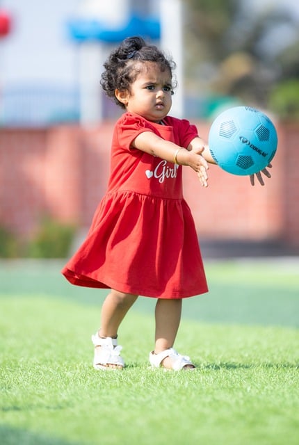 新老交替的 新老交替的