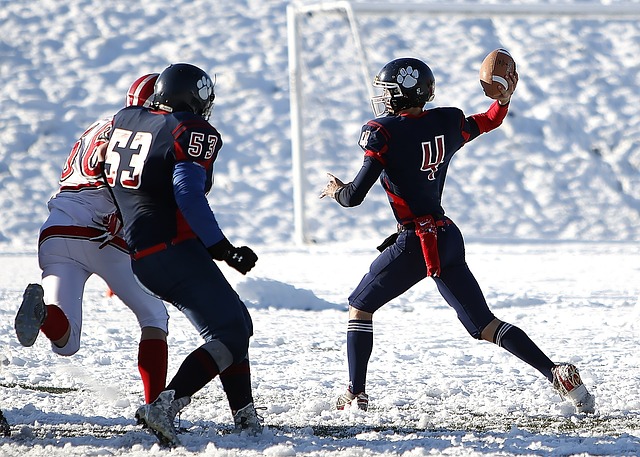 續參與體育 續參與體育