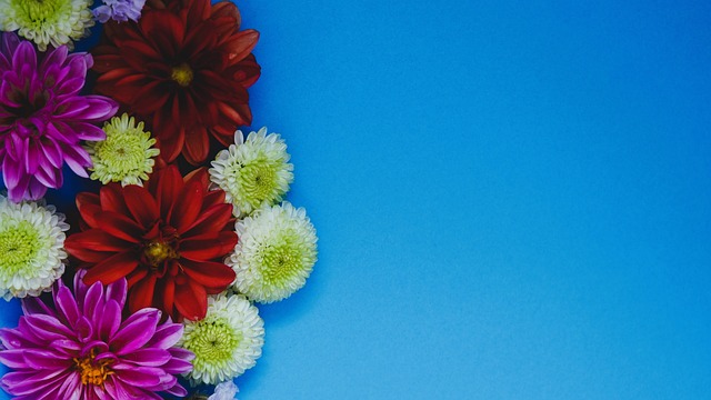 选择离开这 选择离开这