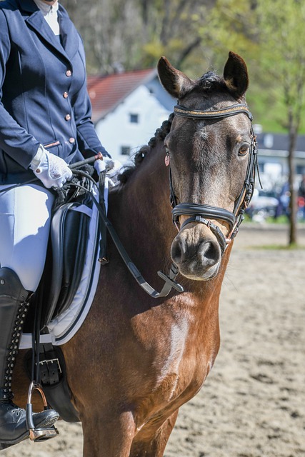[冰雪]世界自由式滑雪锦标赛 障碍追逐.