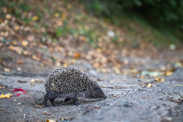 通过分析历 通过分析历